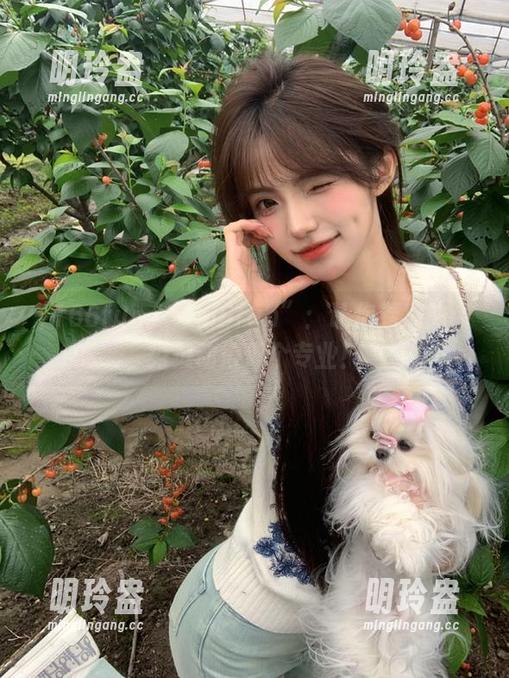 “166fun”：让你看瓜的姿势灵动得像个专业！
