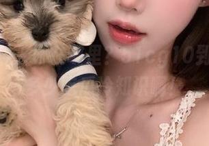 入口在哪里?51cg10到底藏了多少吃瓜冷知识啊!
