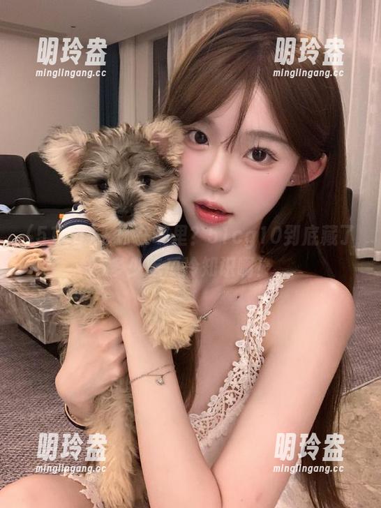 51cg 入口在哪里?51cg10到底藏了多少吃瓜冷知识啊!