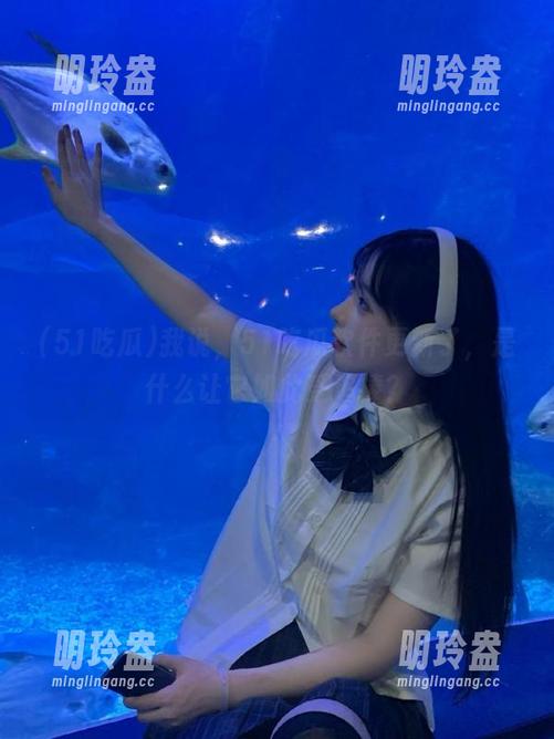我说，51吃瓜软件更新了，是什么让它如此受追捧？
