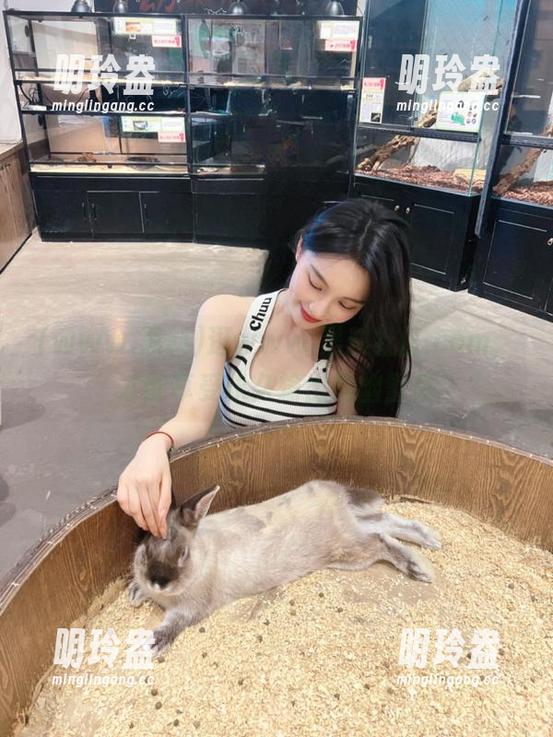 逛www.黑料社区.com，才能享受永久输出的幽默感