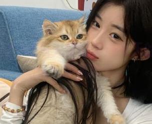 吃瓜天堂首页：今天的八卦让人想嘶吼吗？