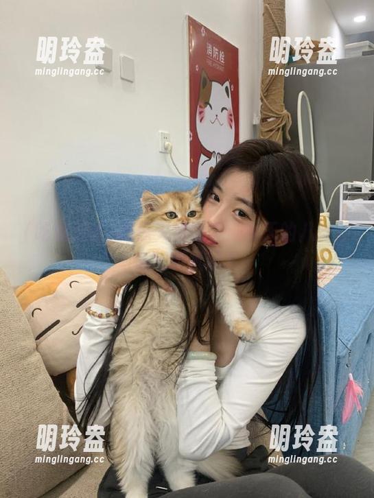 吃瓜天堂 吃瓜天堂首页:今天的八卦让人想嘶吼吗?