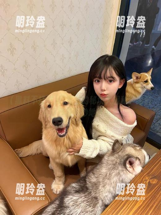 网页上的秘境大揭秘：黑料不打烊的奇妙地址列表