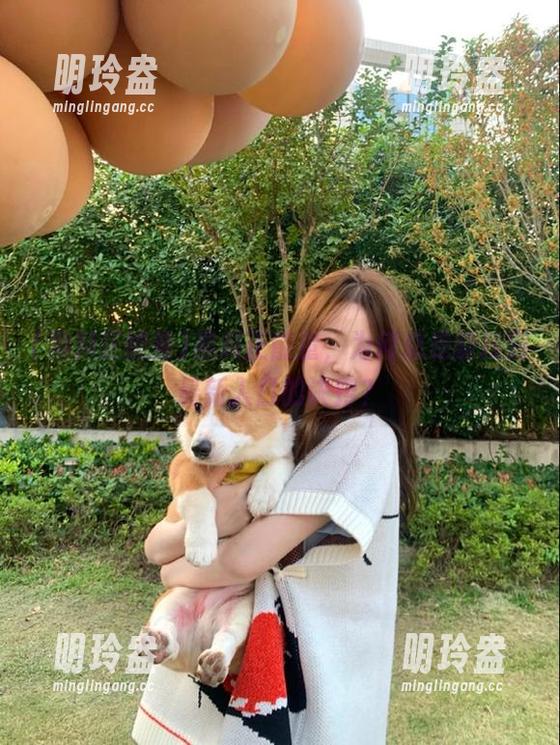 黑料正能量，为何总是能找到最新入口的诀窍？